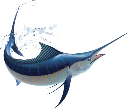 fish1