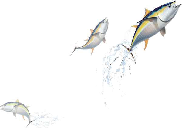 fish2