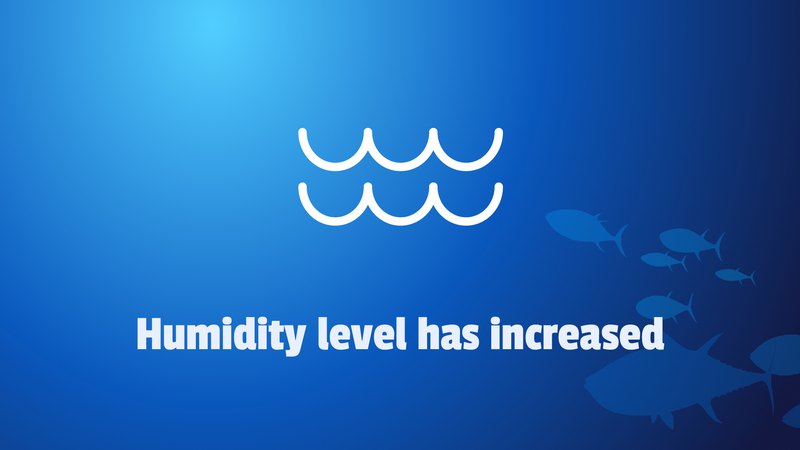 Humidity level has increased.