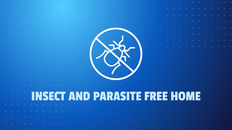 Furniture Protection. 