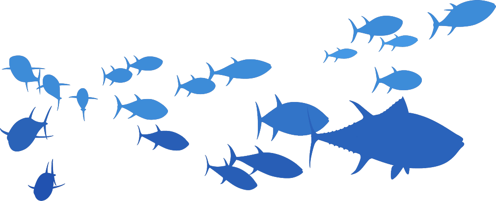 fish image